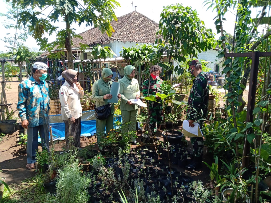 Korem 073/MKT Adakan Lomba Kebersihan Rumah Dinas Prajurit Dalam Rangka HUT RI Ke-75